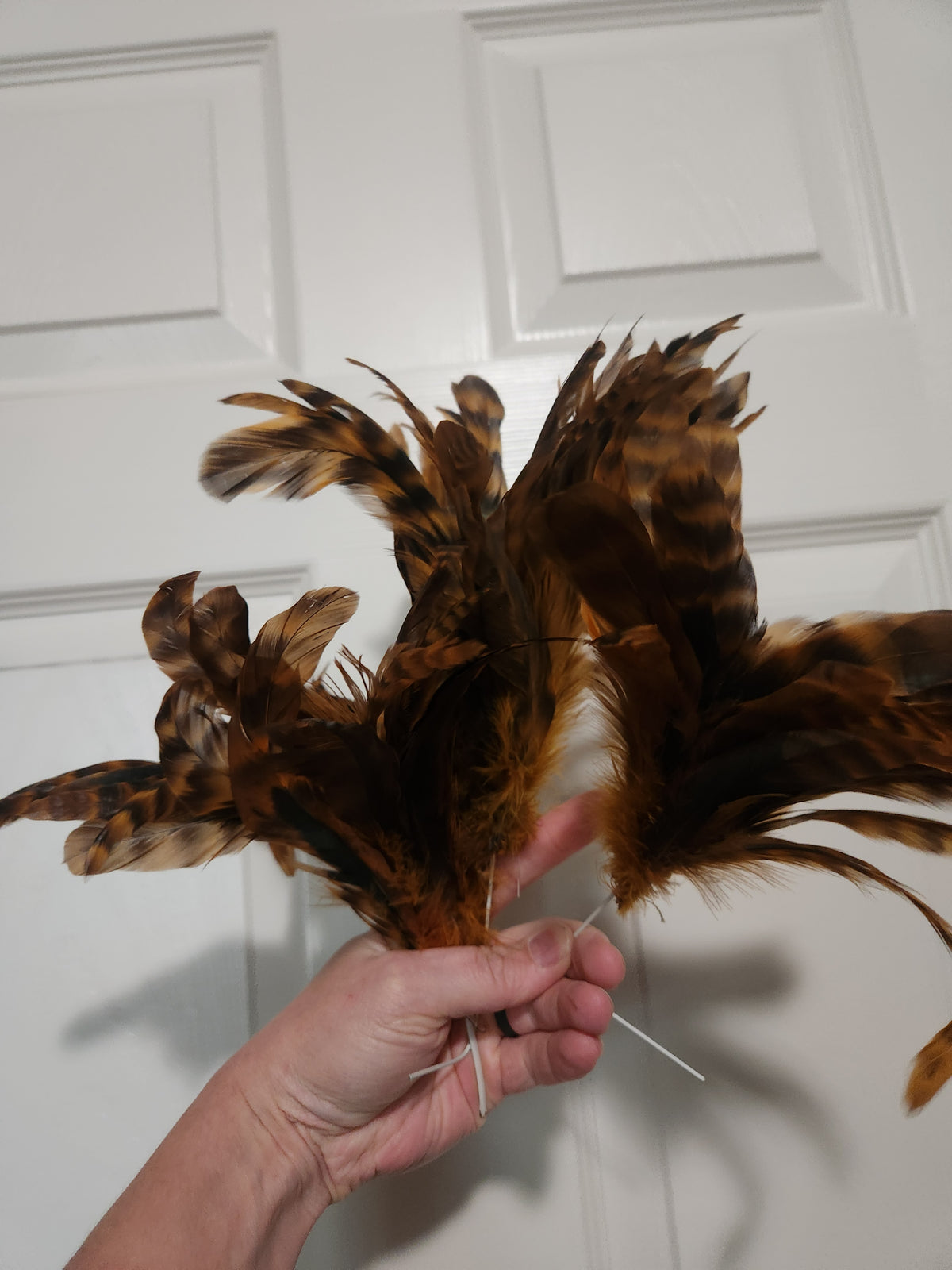 Feathers for Sabrina
