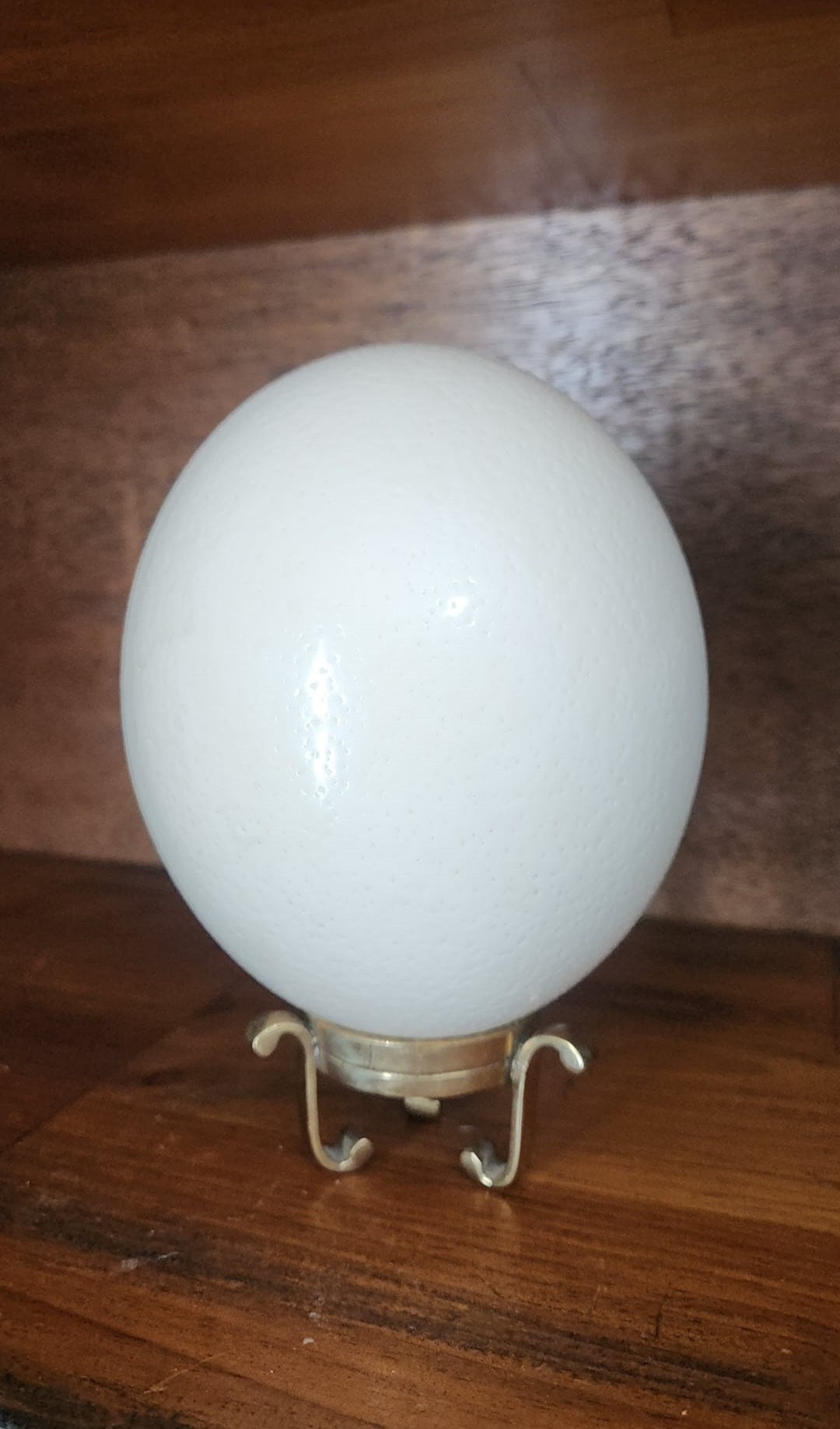 Ostrich egg and stand
