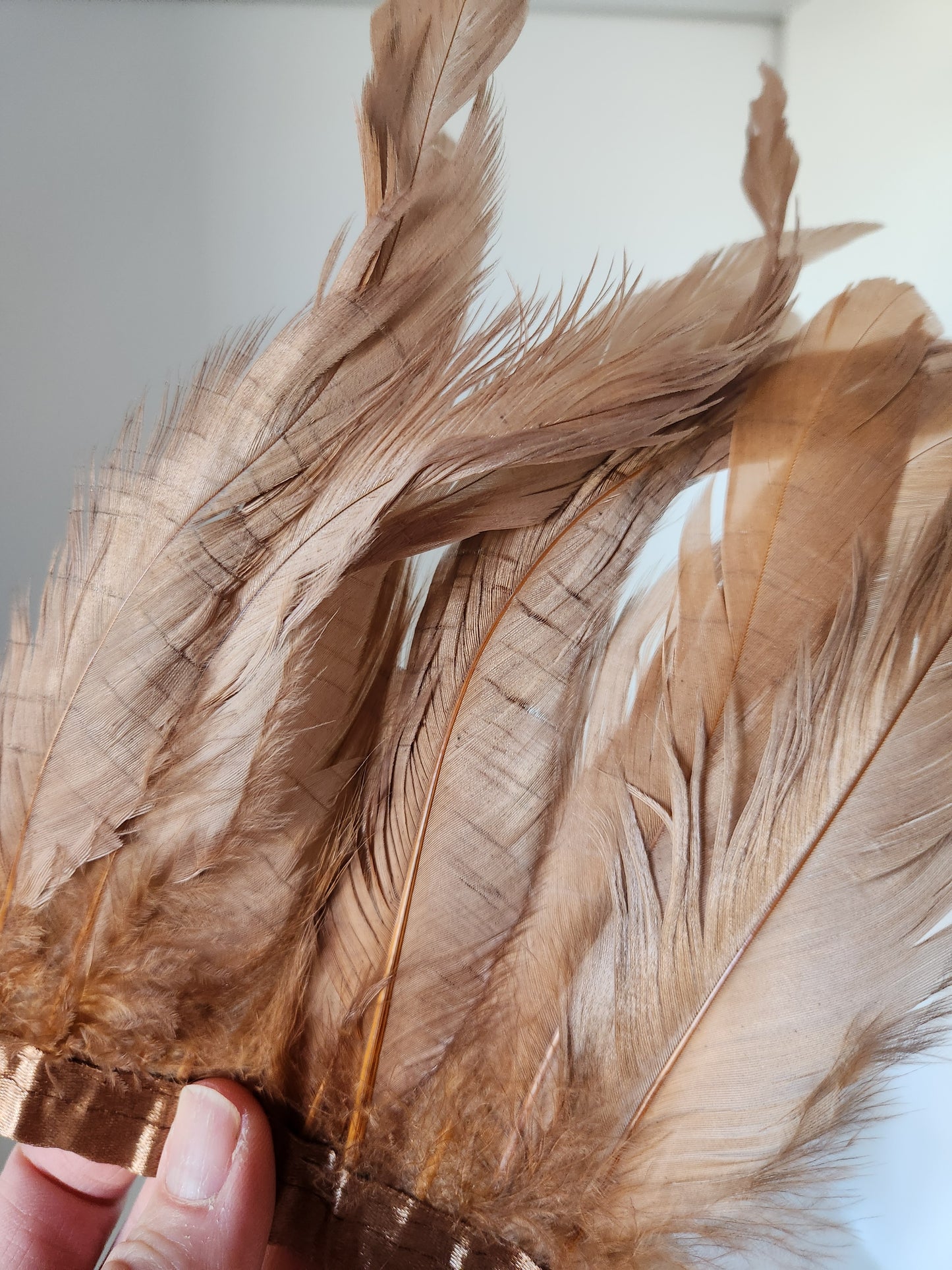 Iridescent Bronze/Blush Coque Tail Feather Fringe