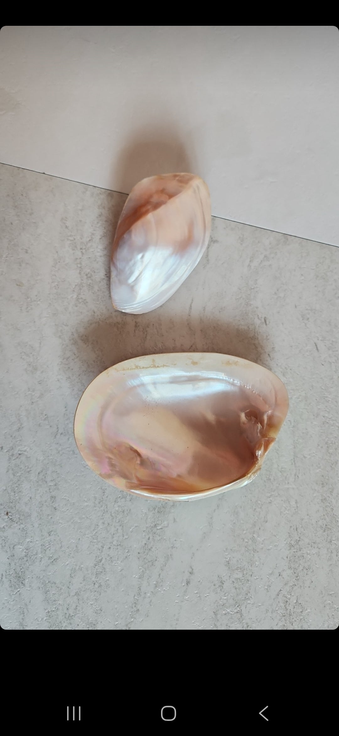 Shells for jules