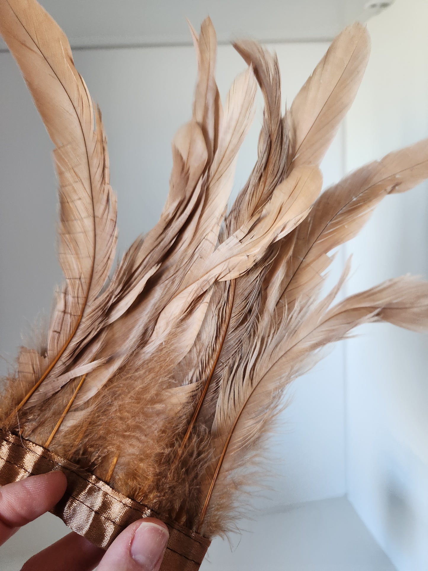 Iridescent Bronze/Blush Coque Tail Feather Fringe