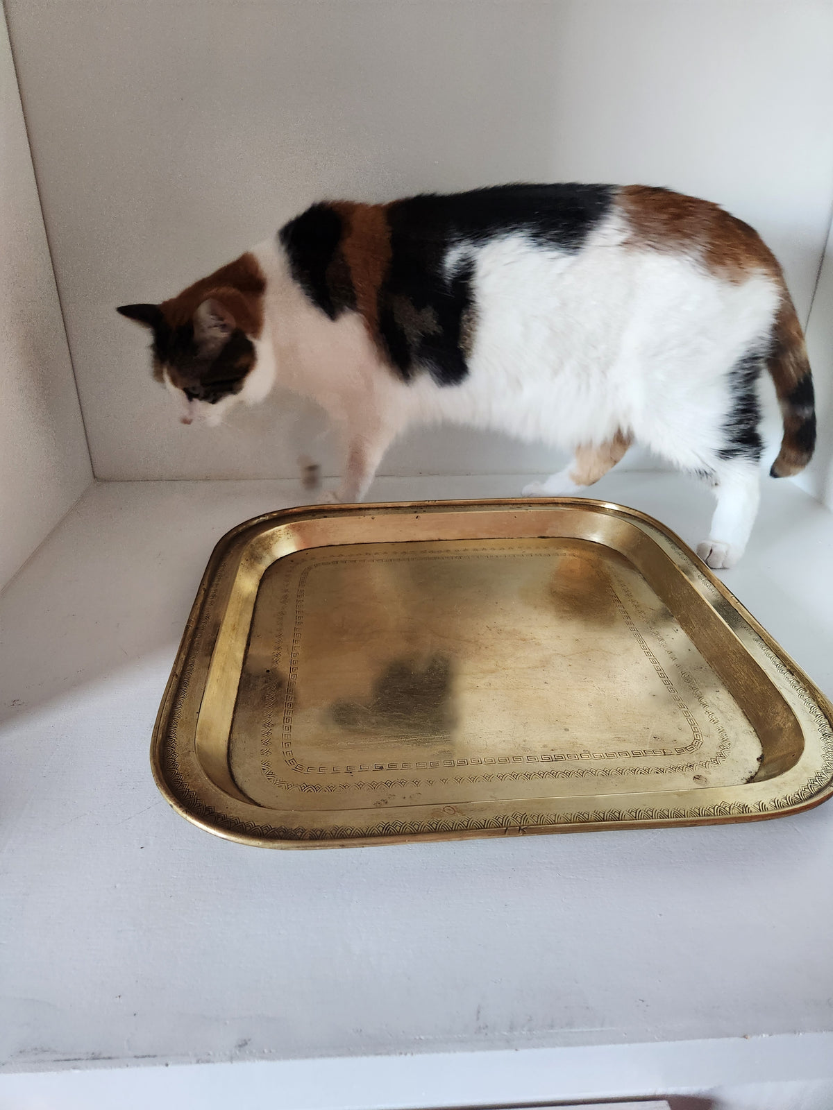 Large Brass Tray