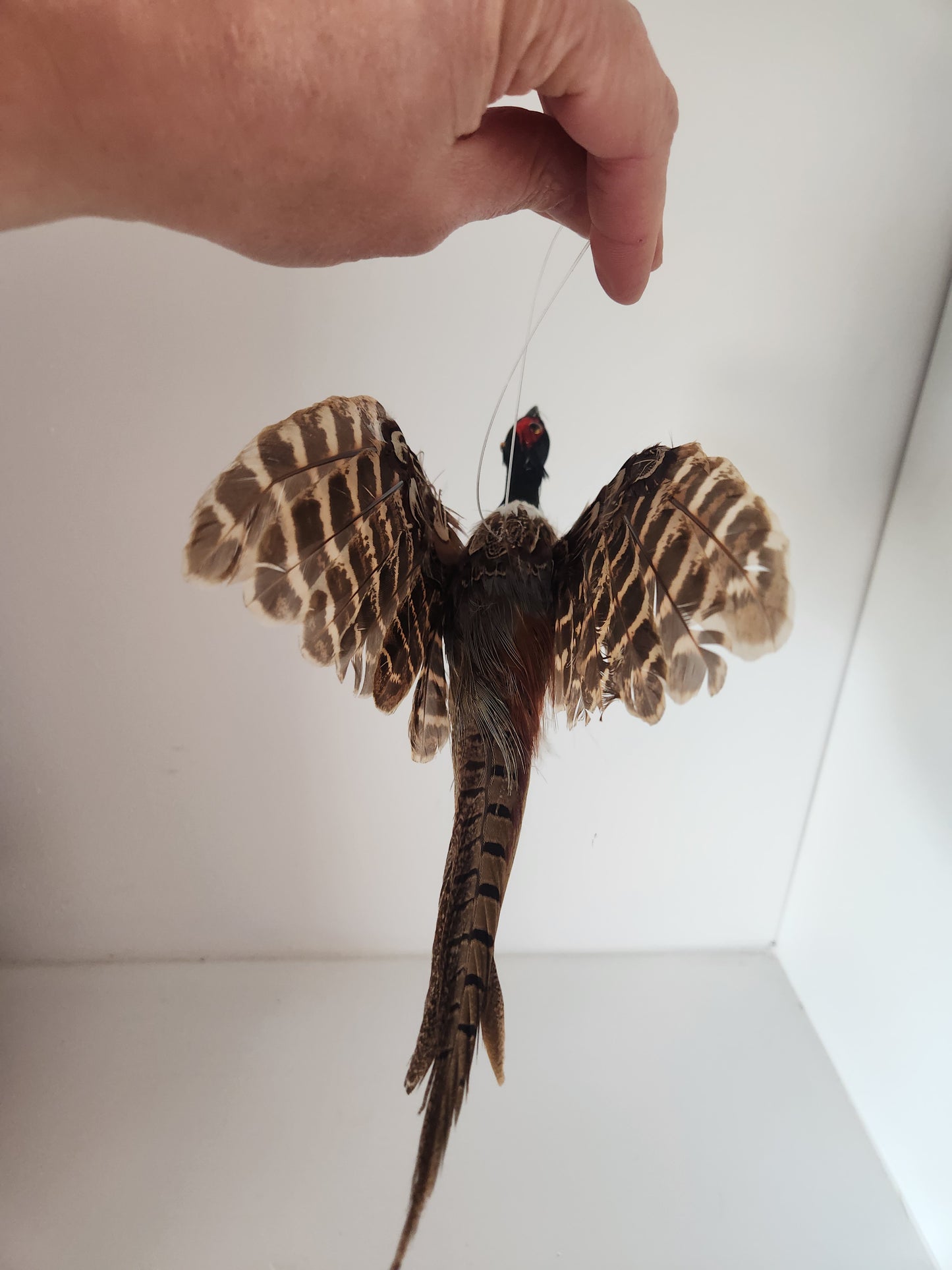 Pheasant Ornament
