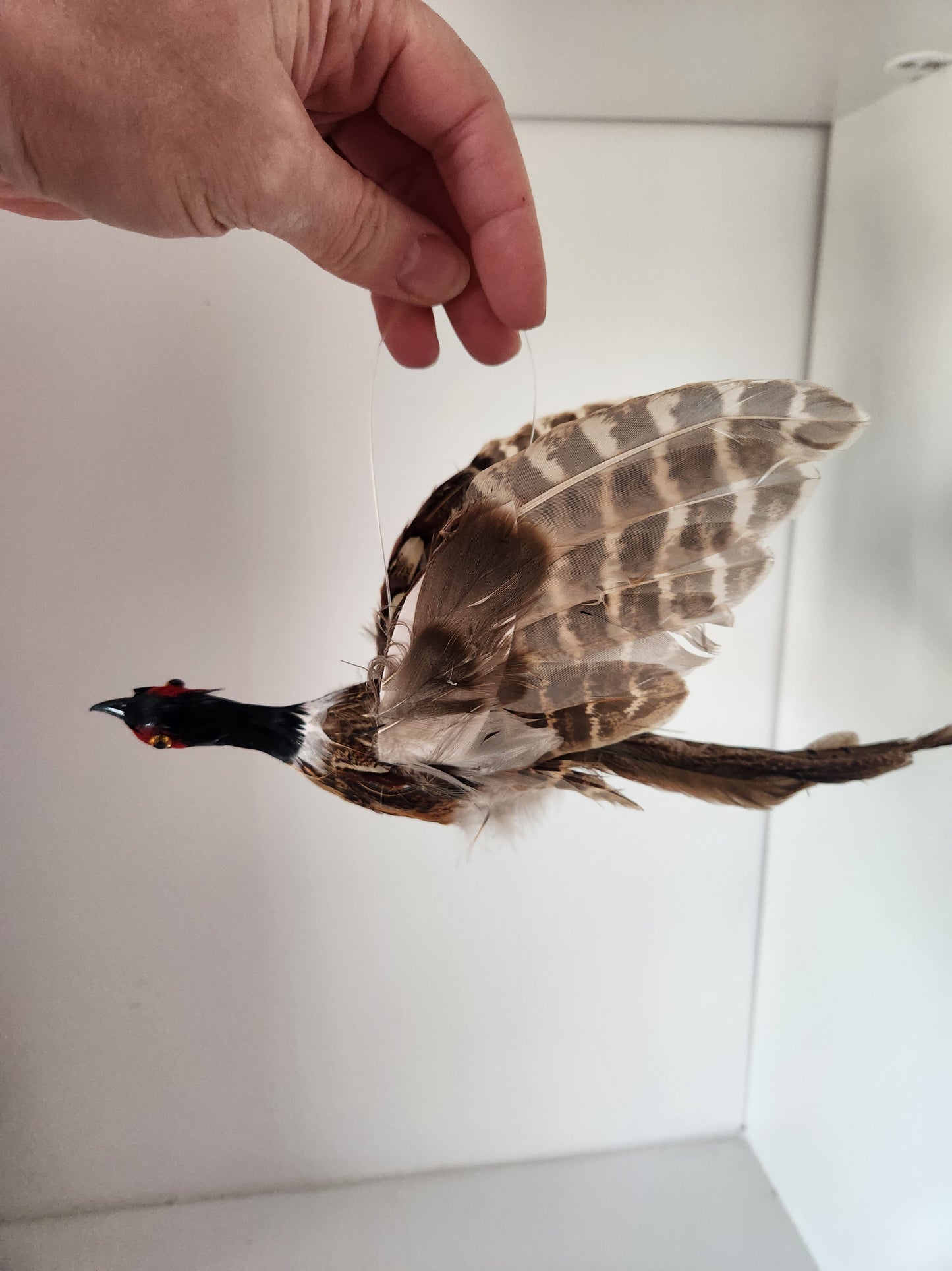 Pheasant Ornament