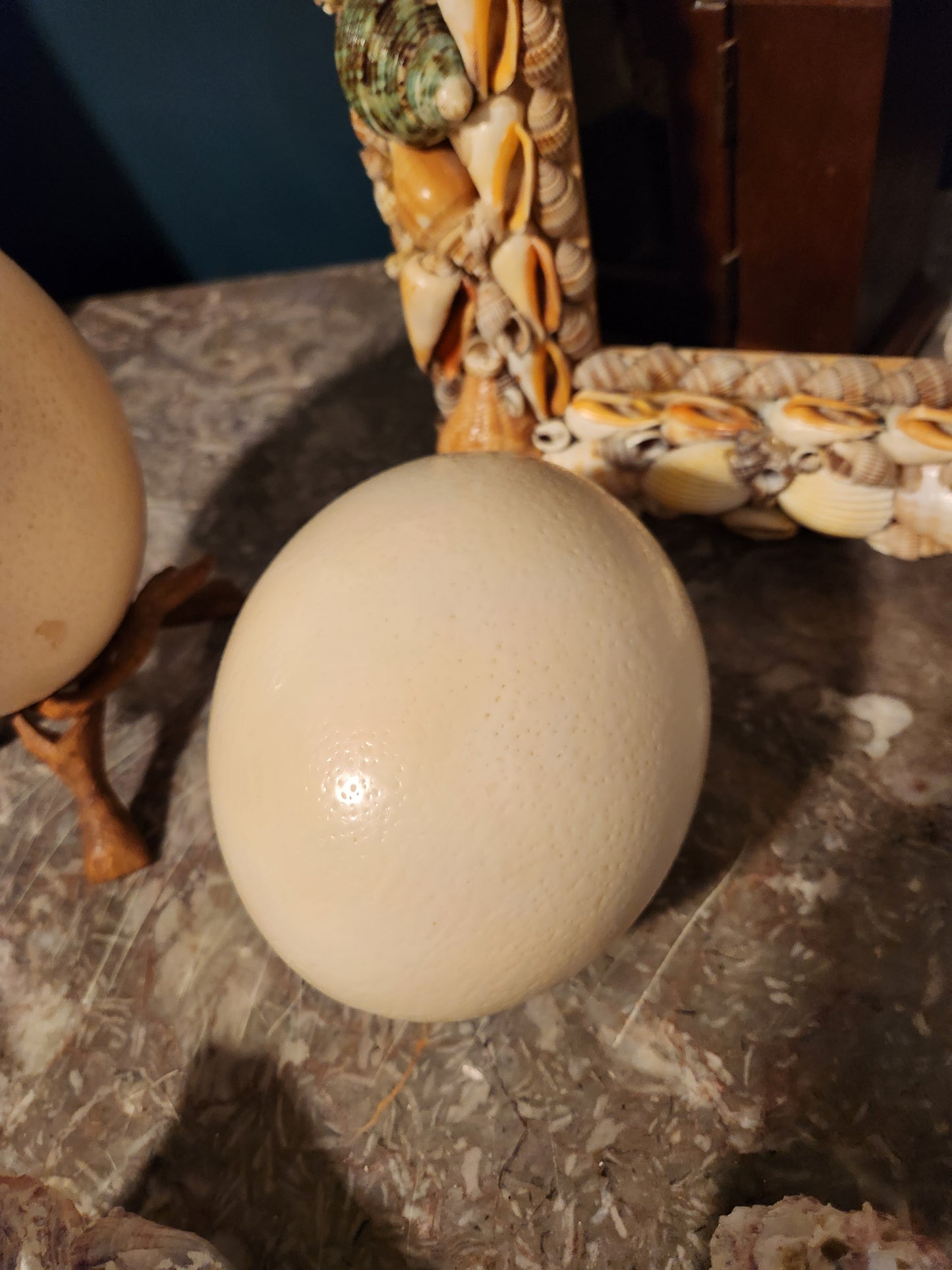 Large Ostrich Egg