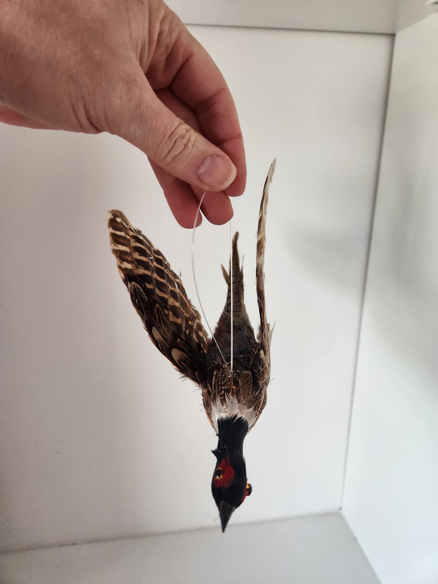 Pheasant Ornament