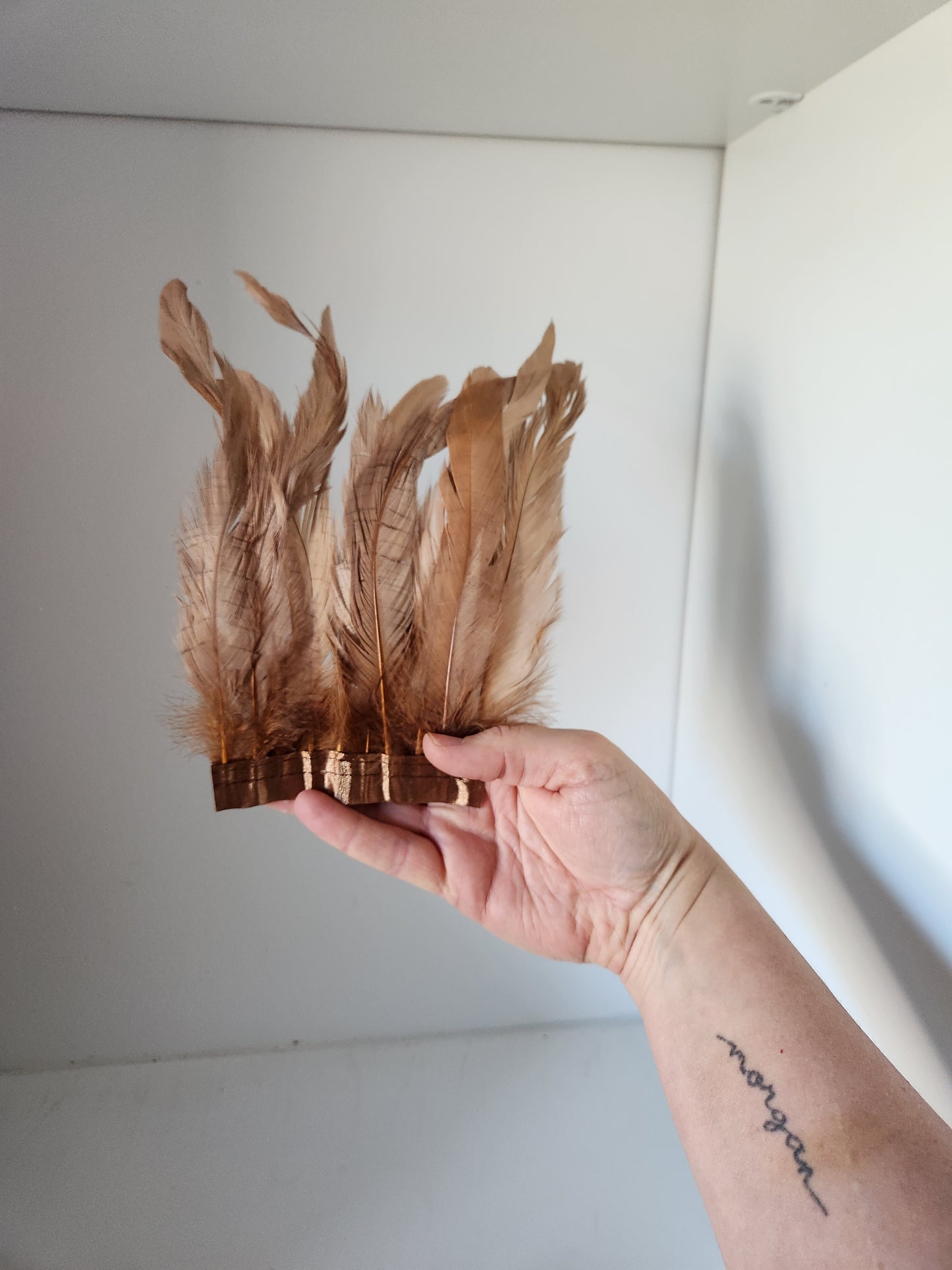 Iridescent Bronze/Blush Coque Tail Feather Fringe