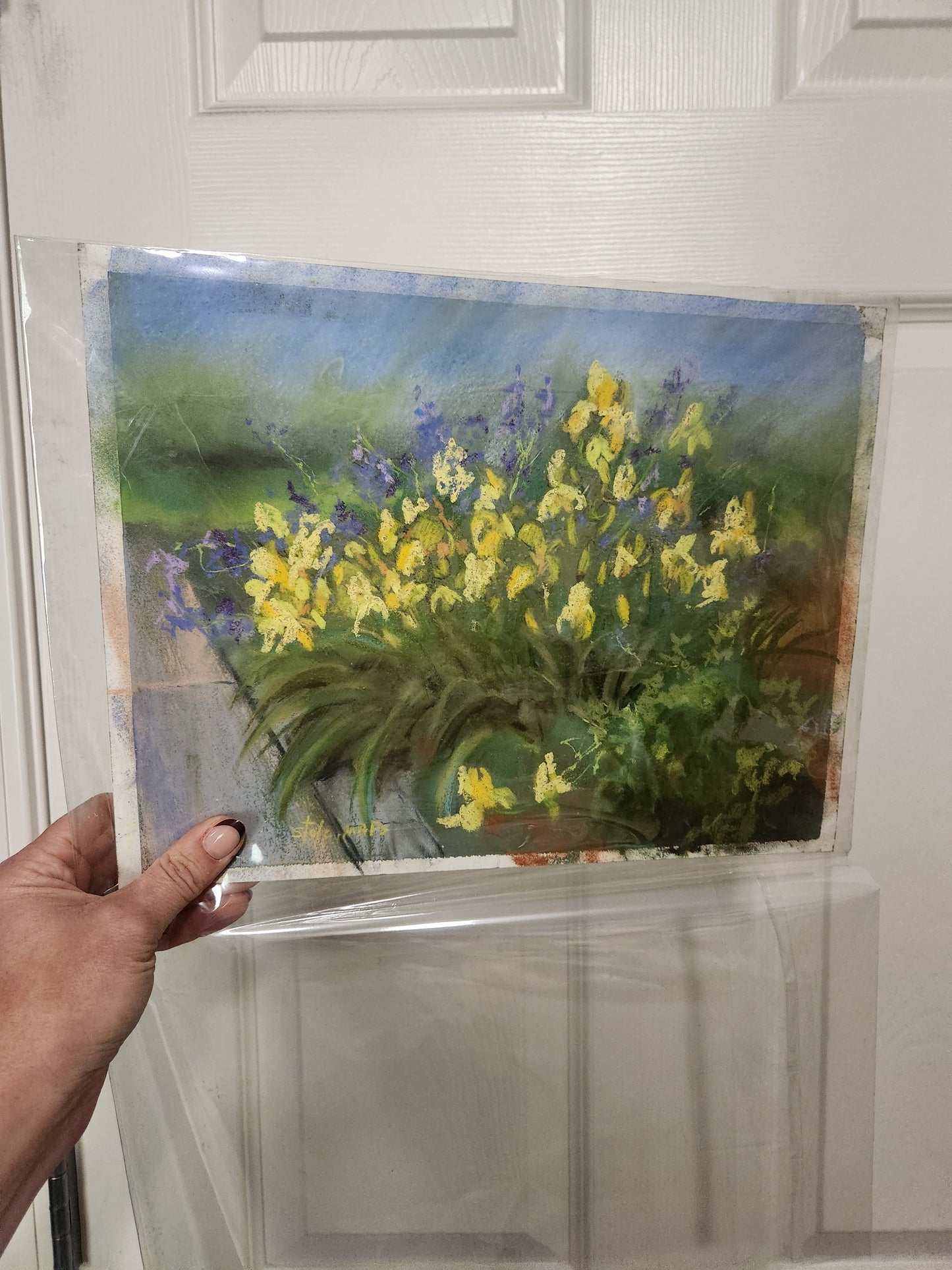 Diane Stolz art for alison