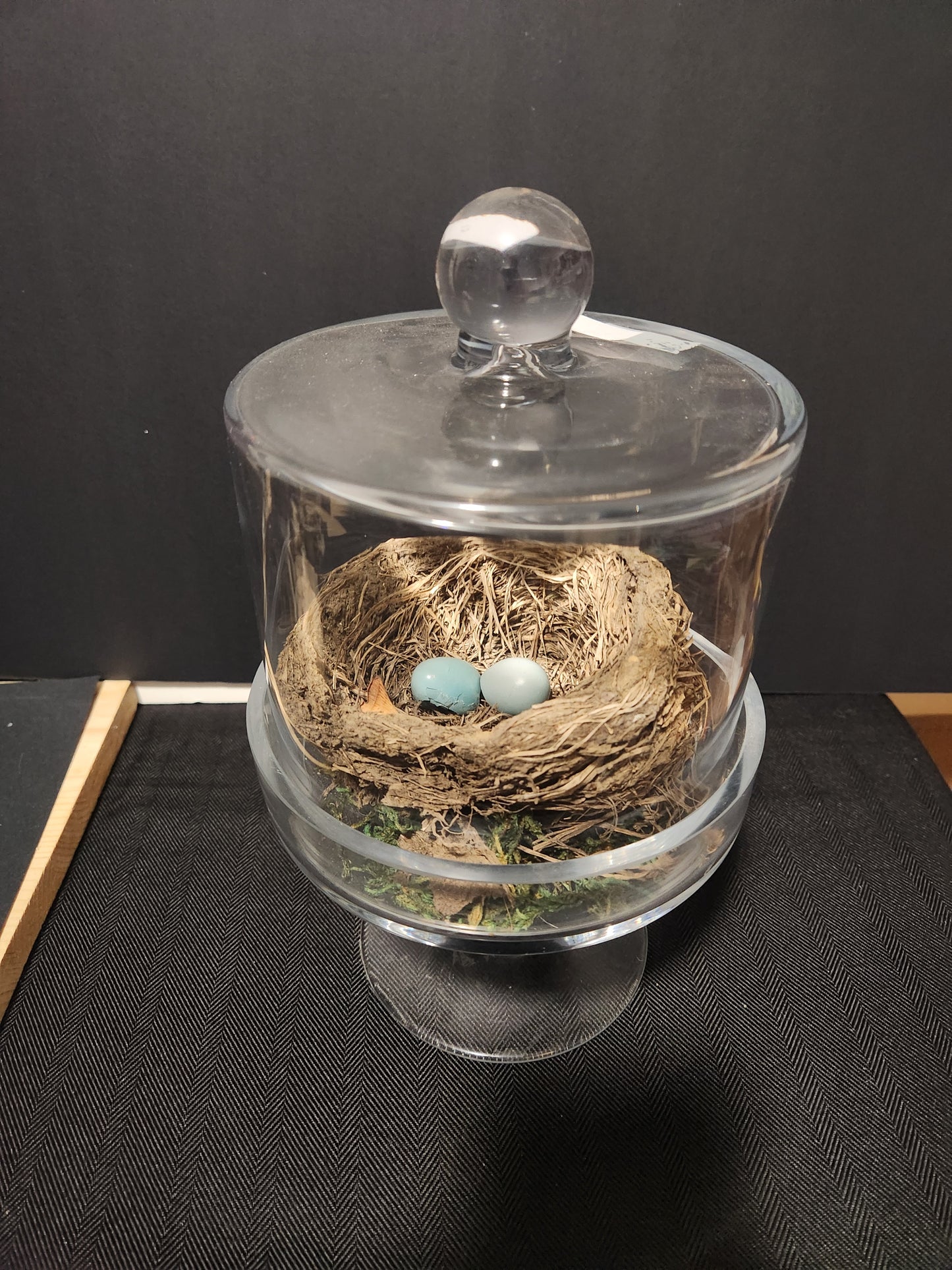 2 Cloches and vignettes for Jane