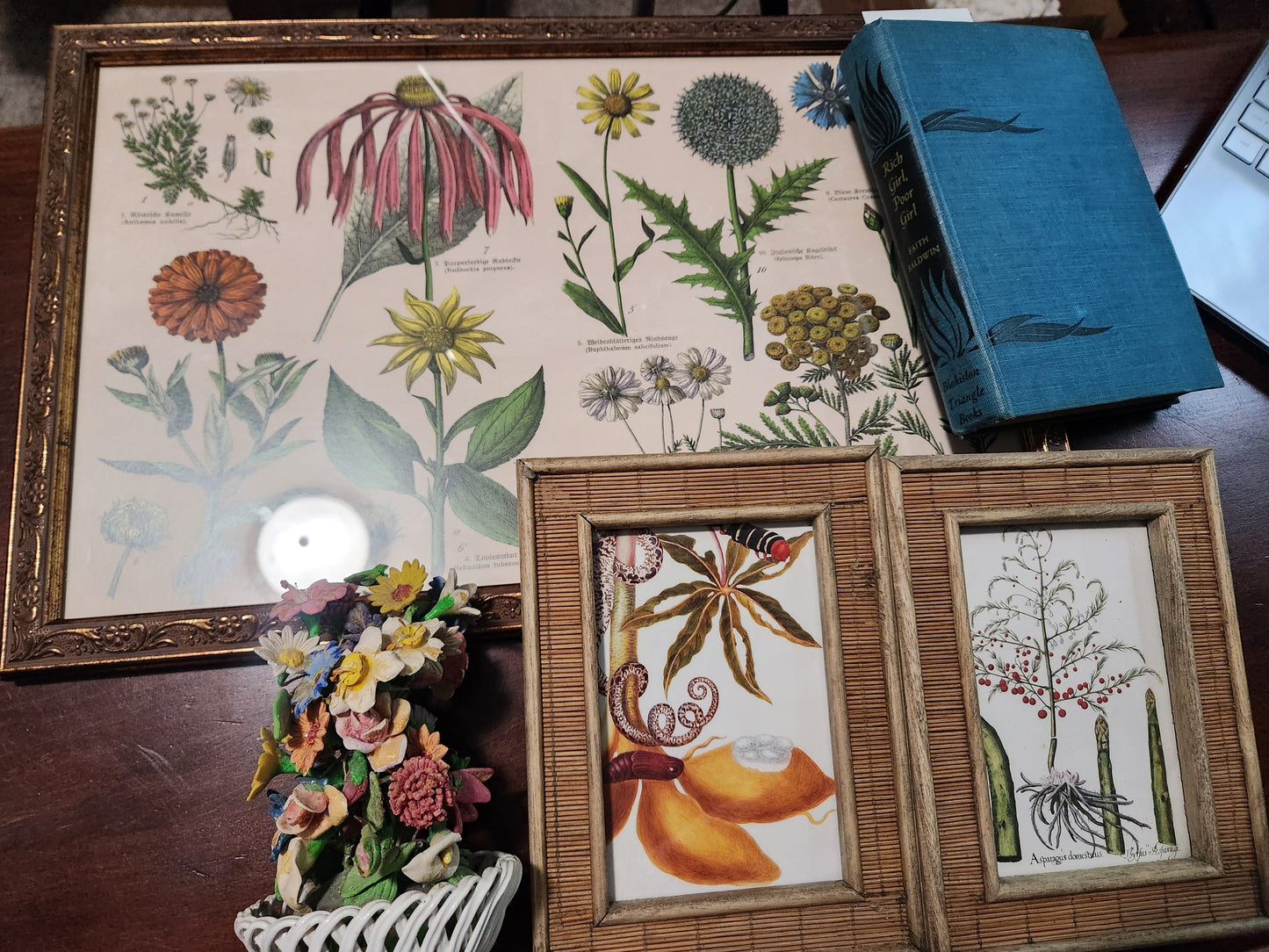 Collection for bblewis40