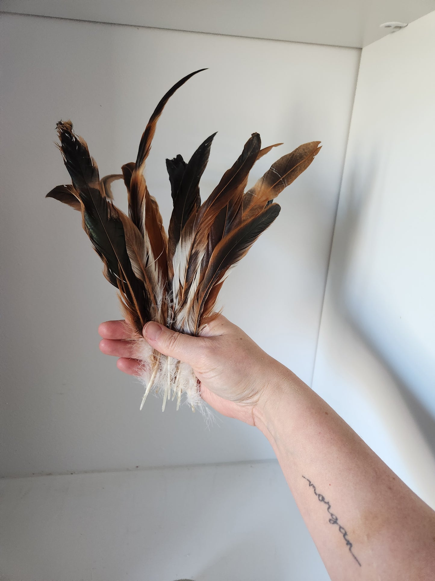 Bronze and Green Rooster Coque Feathers