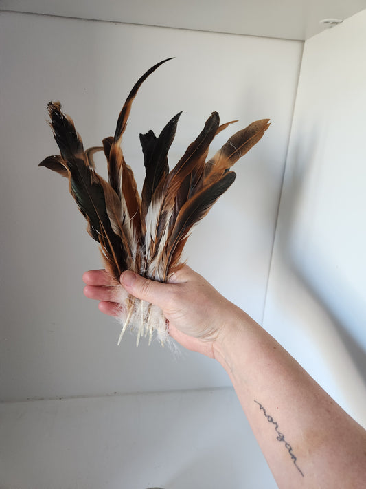 Bronze and Green Rooster Coque Feathers