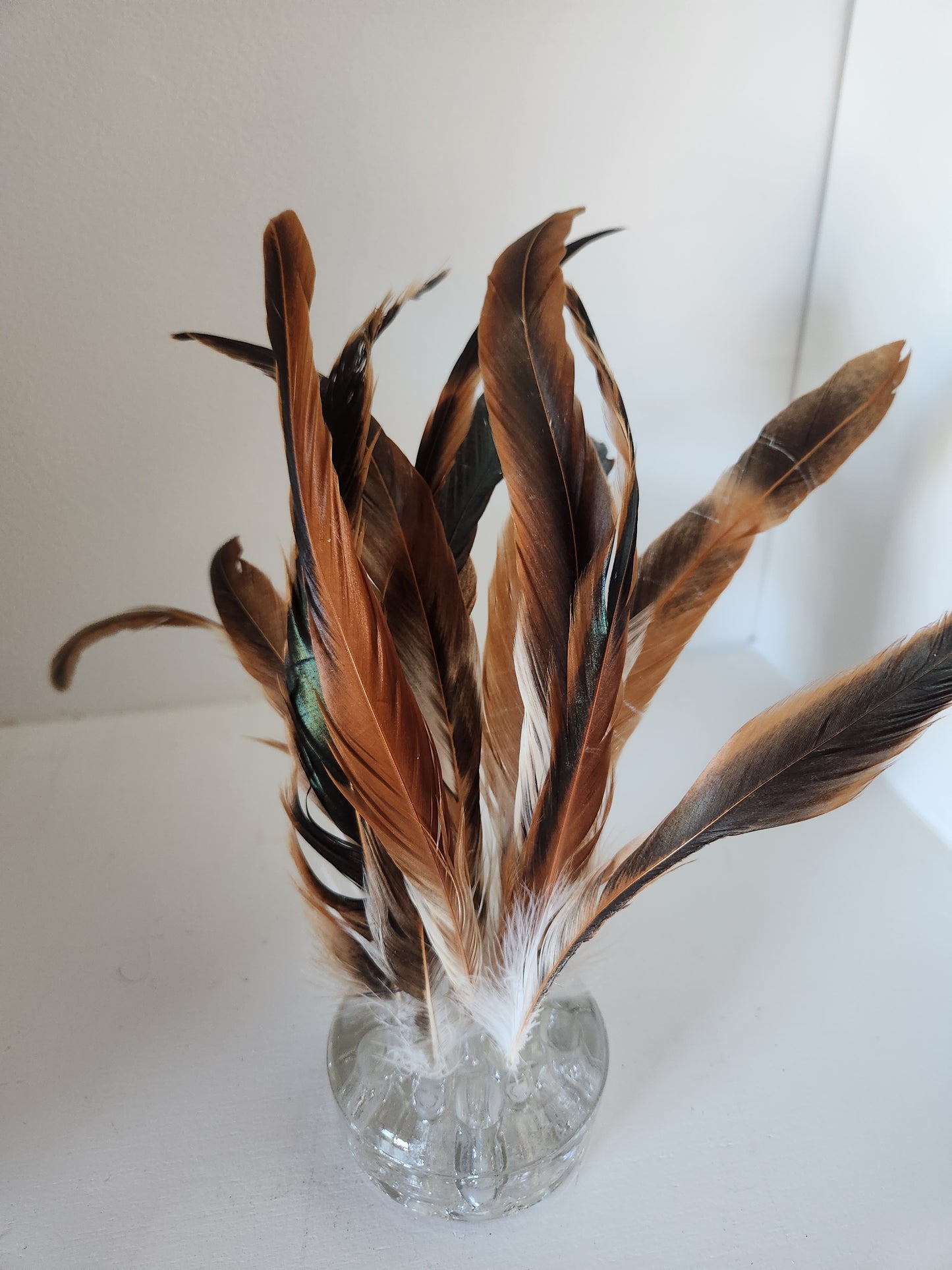 Bronze and Green Rooster Coque Feathers