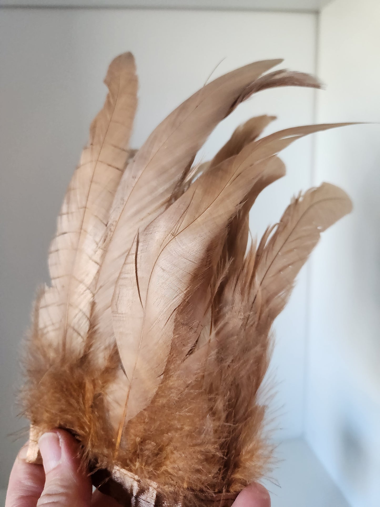 Iridescent Bronze/Blush Coque Tail Feather Fringe