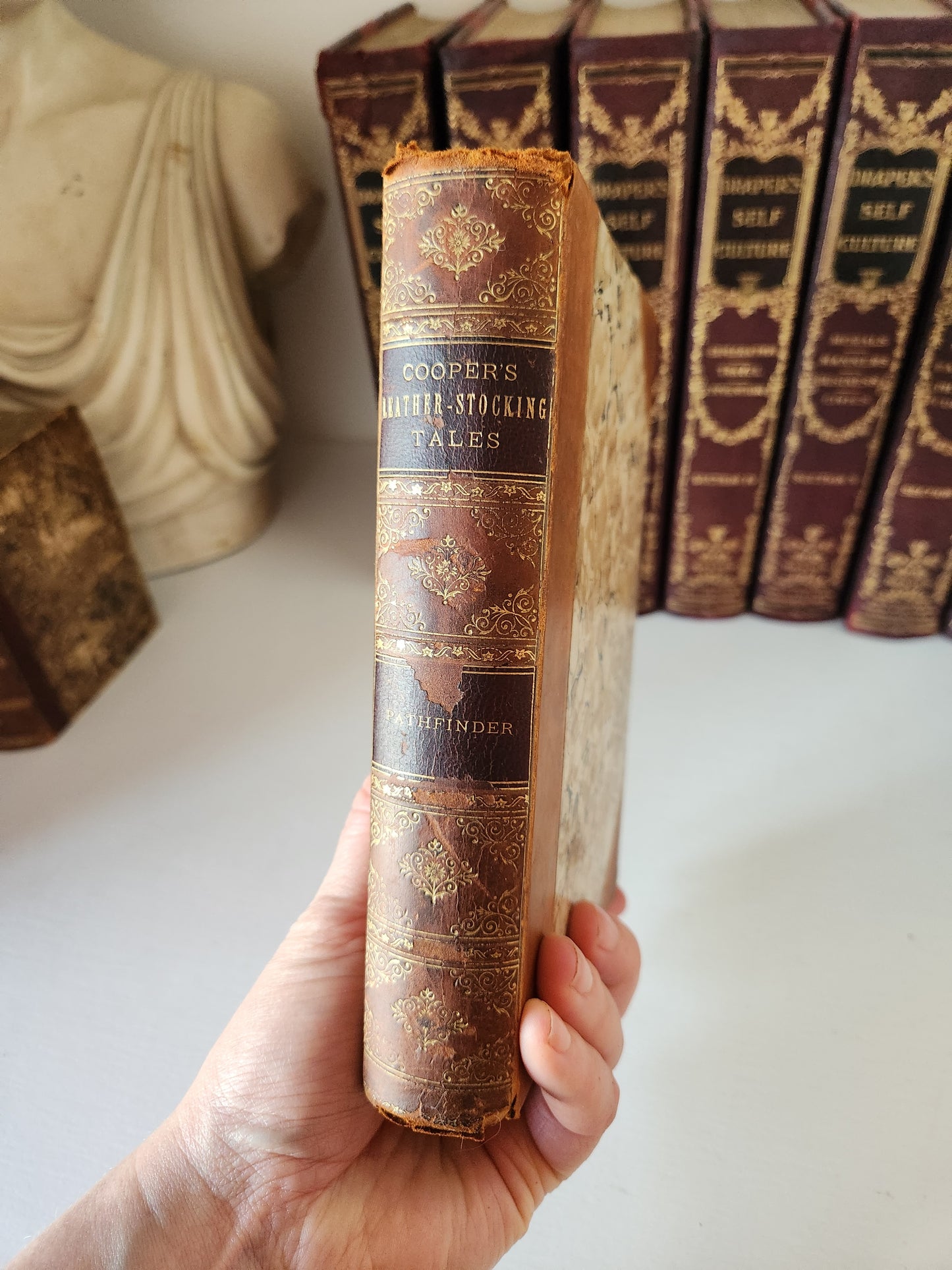 Cooper's Leather Stocking Tales: Pathfinder 1800's