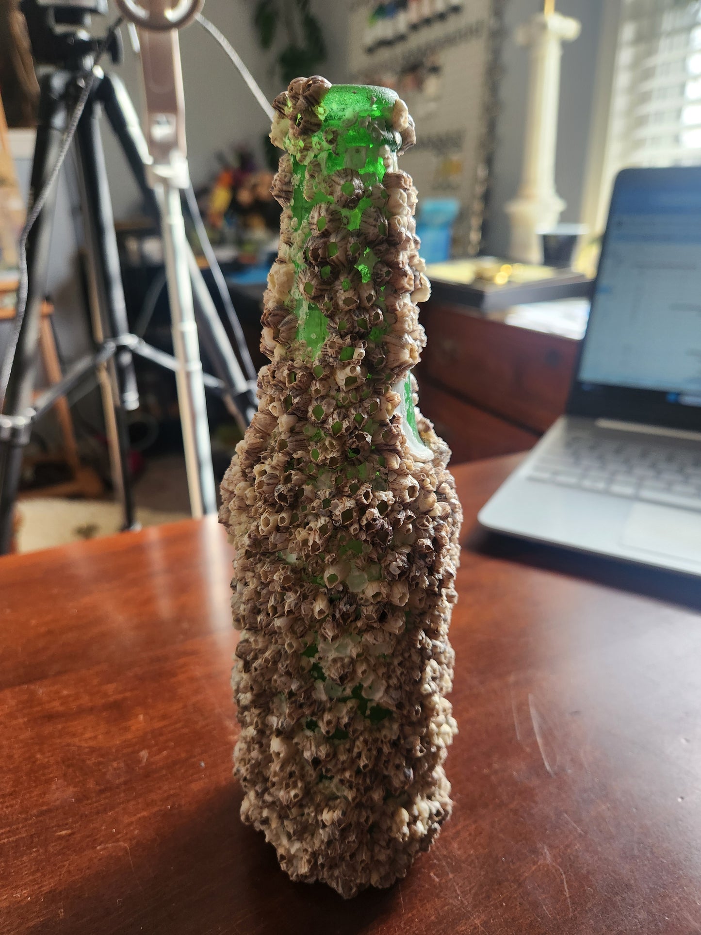 Outlander Claims for stellaryanhome