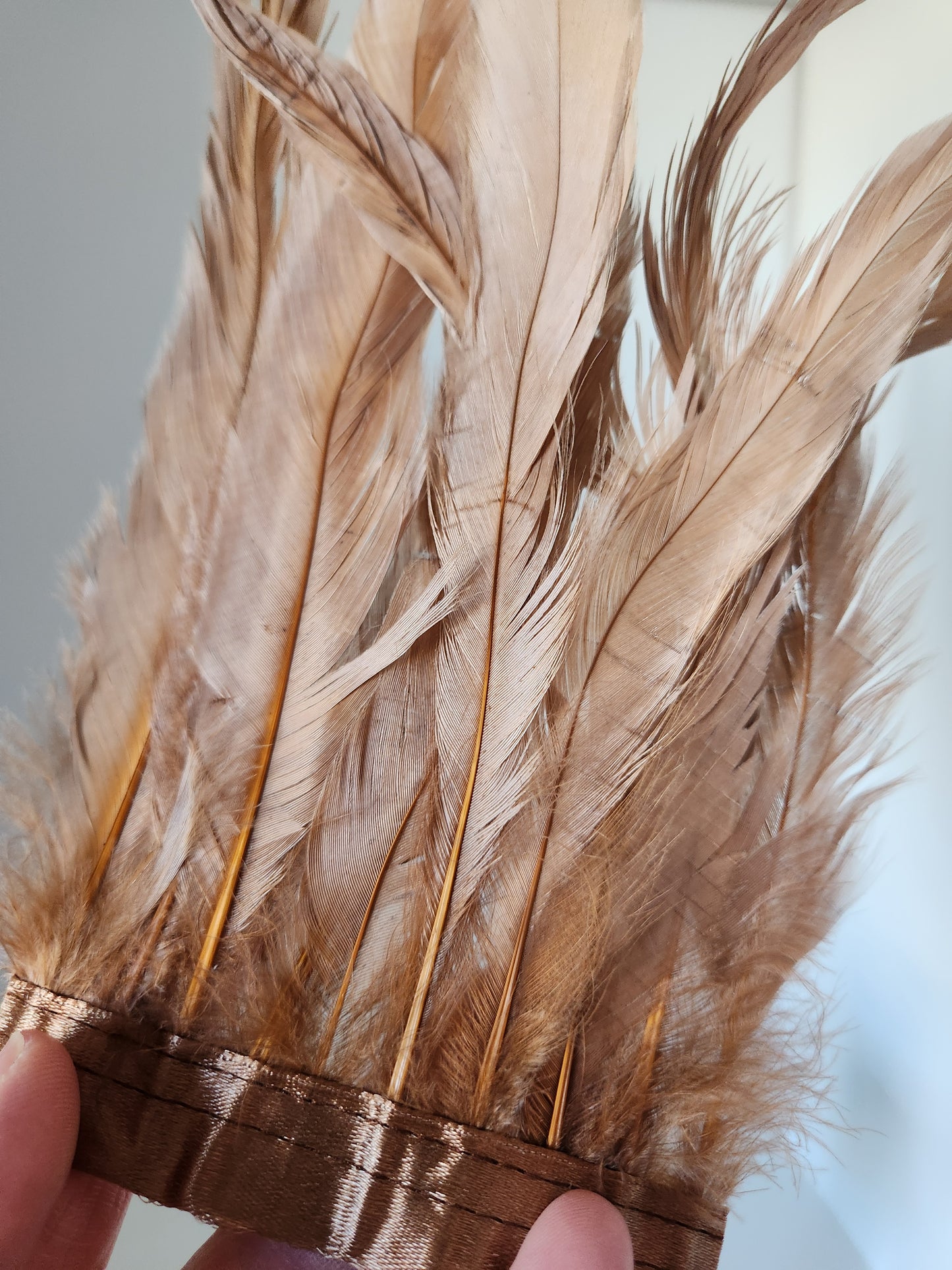 Iridescent Bronze/Blush Coque Tail Feather Fringe