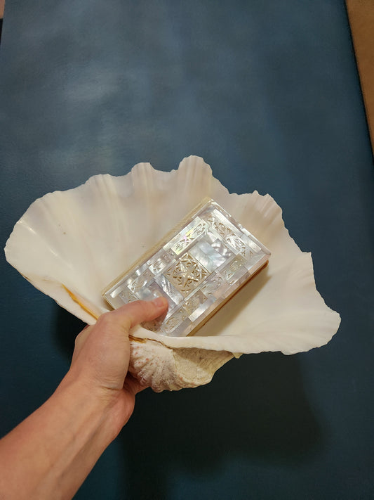 Clam shell and MOP bible