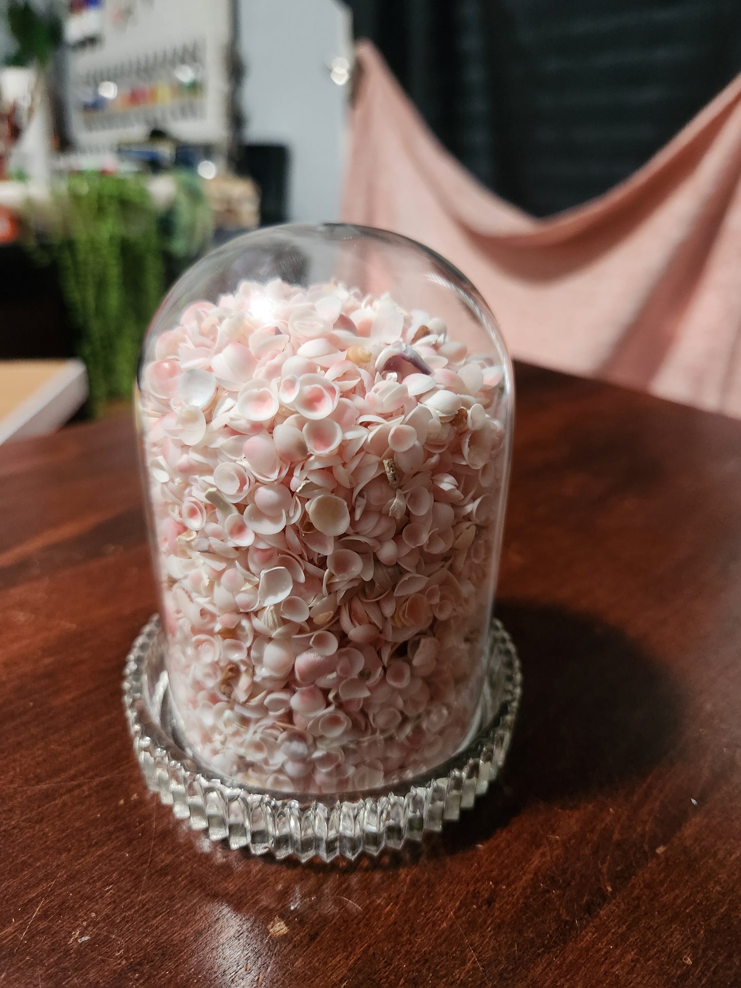 Cloche for Pam