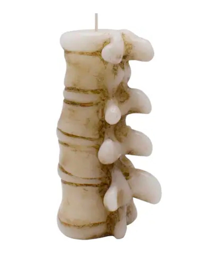 Two vertebrae candles for Kristy