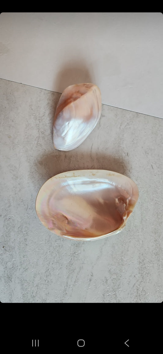 Shells for jules