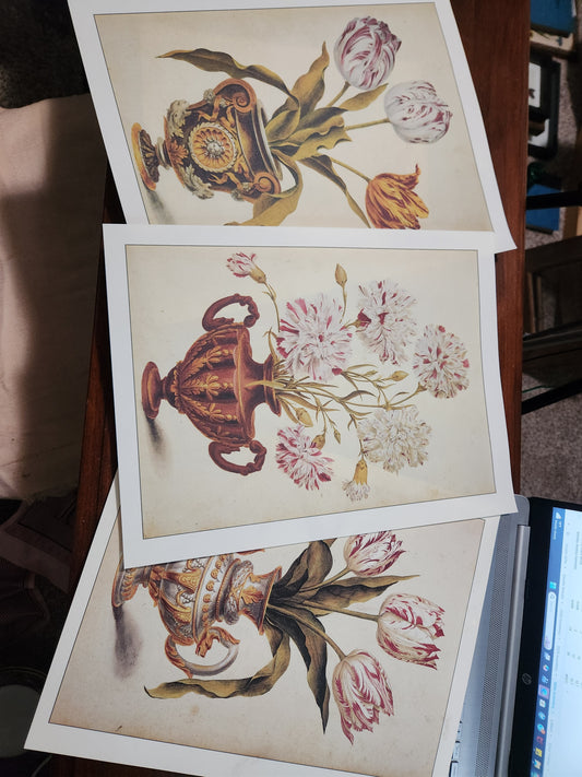 Prints for Michelle