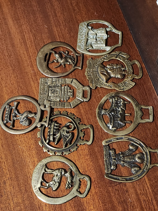 Horse brass and shell for Michelle