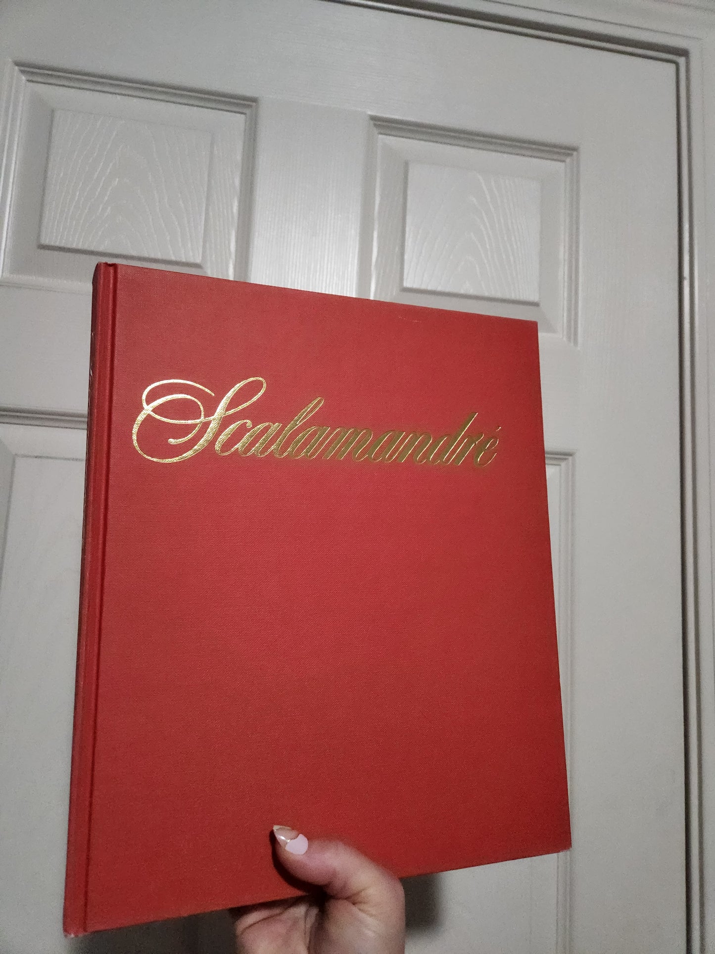 Scalamandre book for Becky