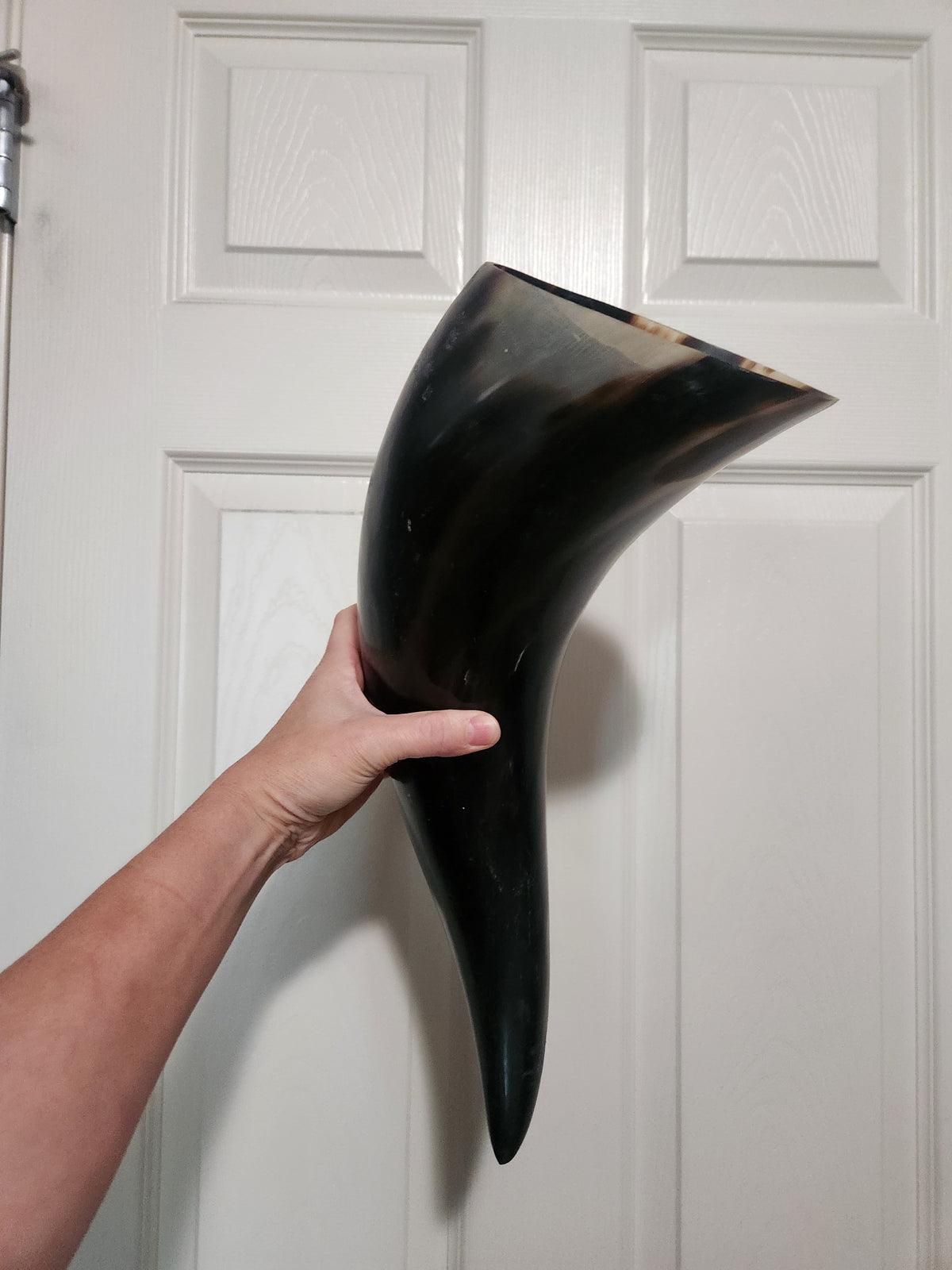Large horn for Allison