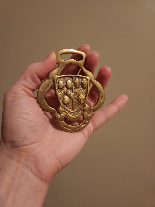 Medallion for kellie