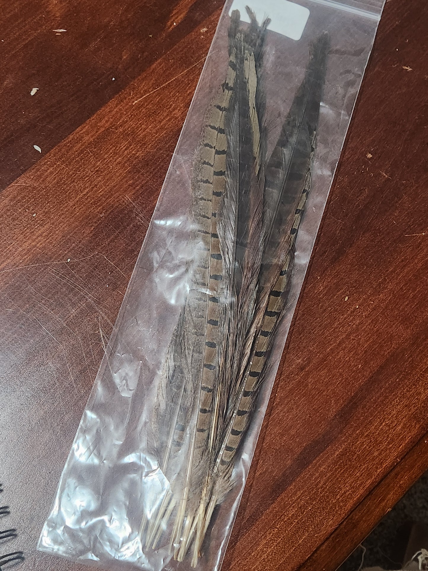 Pheasant Feathers