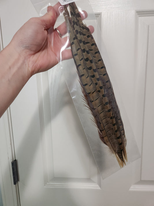 Pheasant Feathers for Nancy