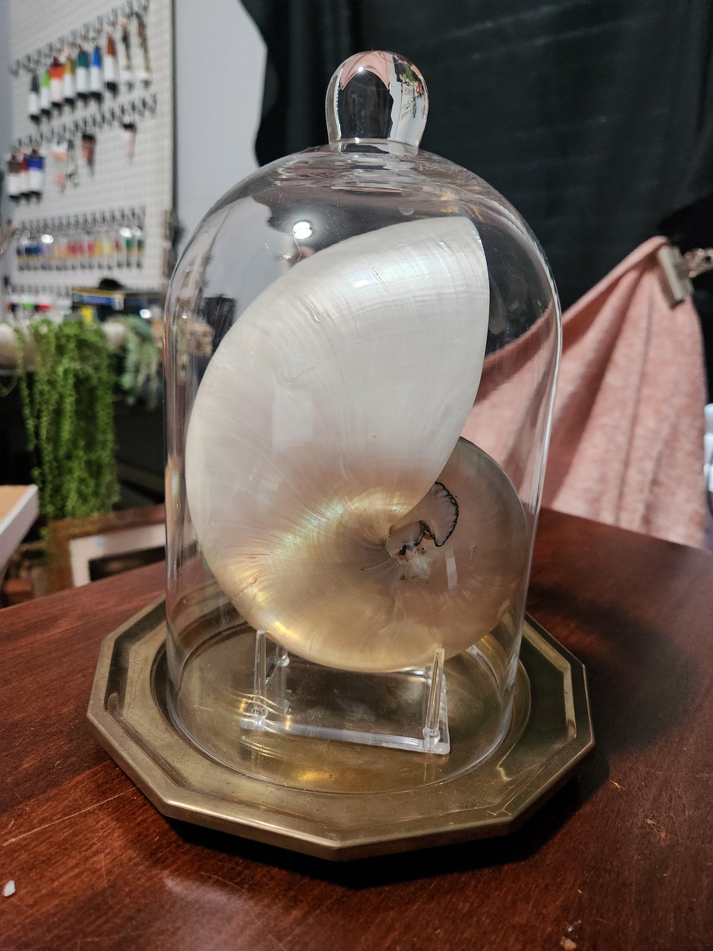 Cloche and Nautilus for jules