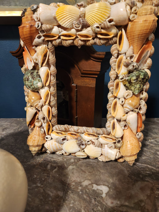 Shell Frame for Shea