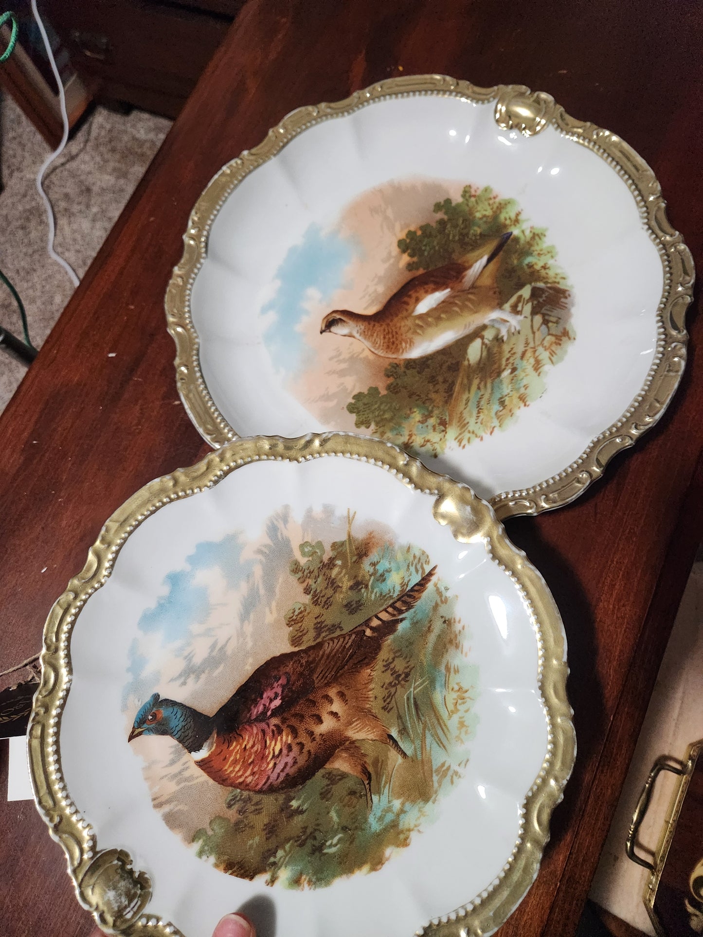 Bavarian Plates