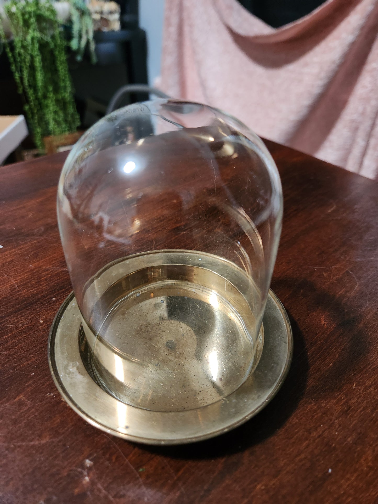 Cloches for claire