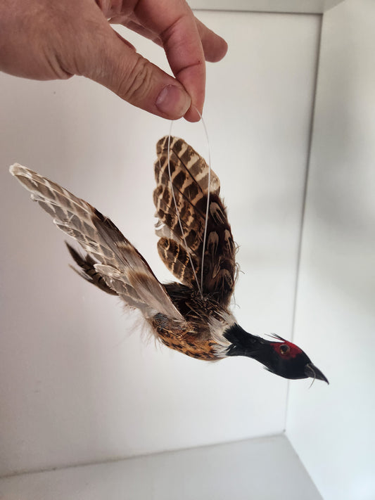 Pheasant Ornament