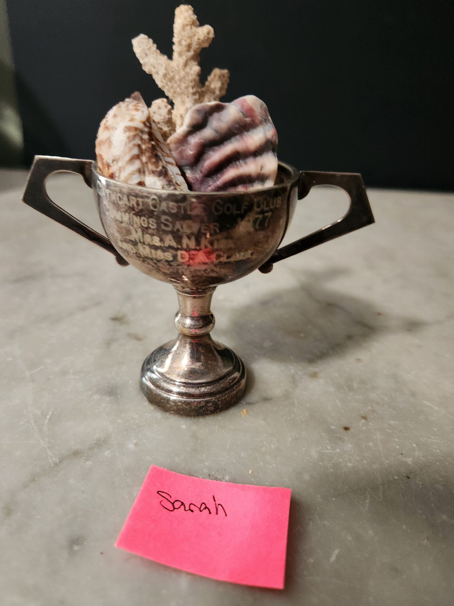 Trophy for sarah