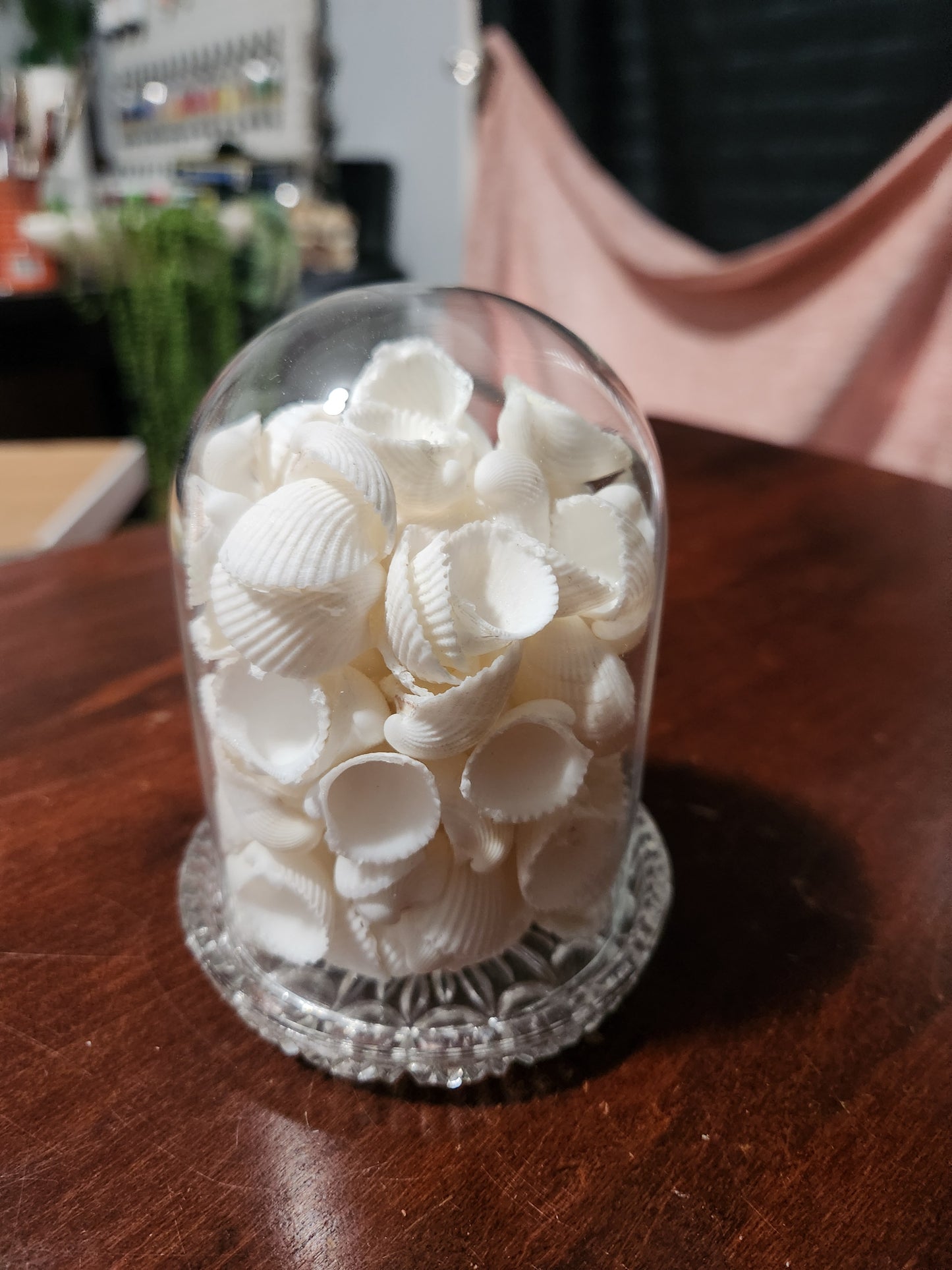 Cloches for claire